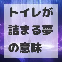 トイレが詰まる夢のサムネイル