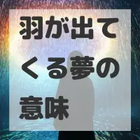 羽が出てくる夢のサムネイル