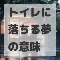 トイレに落ちる夢のサムネイル画像