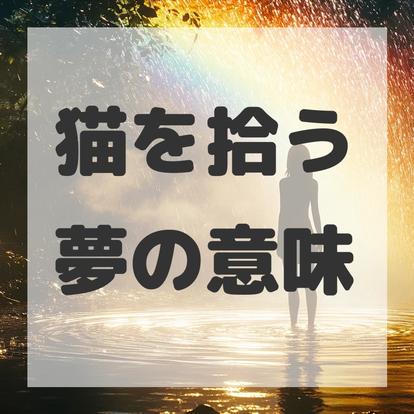 猫を拾う夢のサムネイル画像