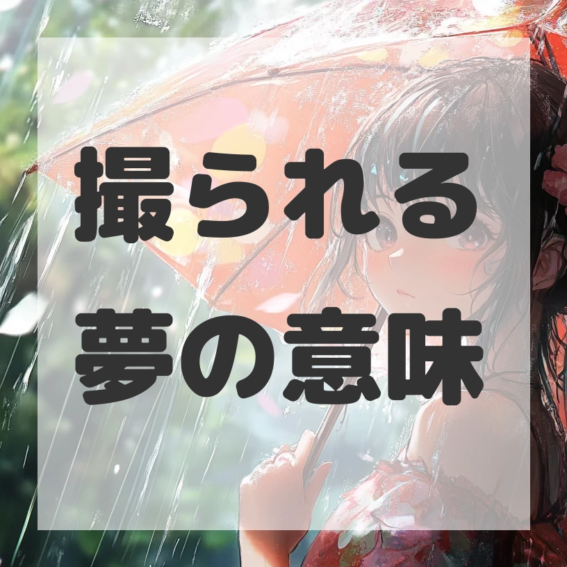 撮られる夢のサムネイル画像