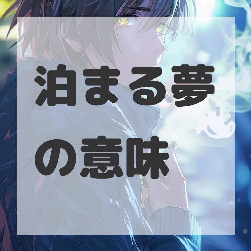 泊まる夢のサムネイル画像