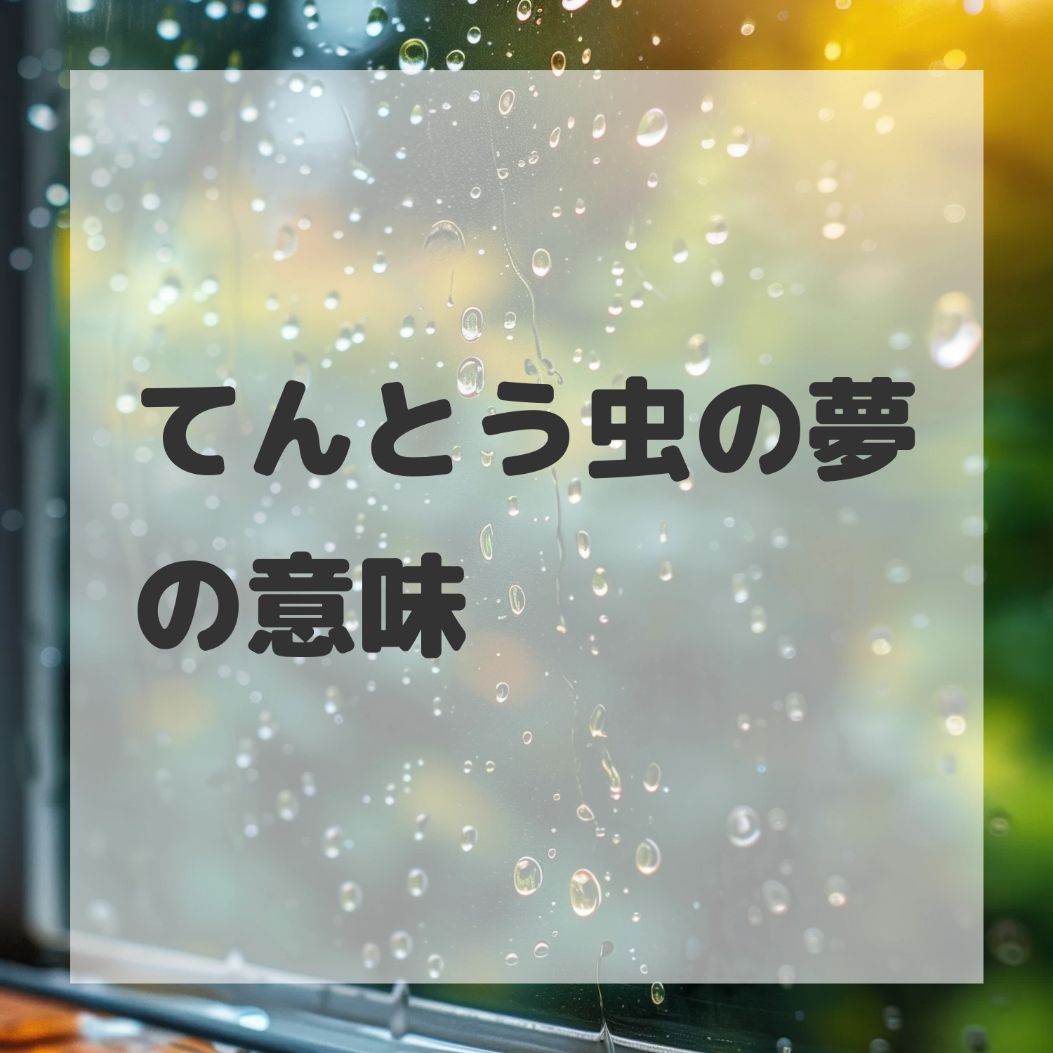 てんとう虫の夢のサムネイル