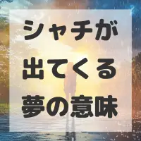 シャチが出てくる夢のサムネイル
