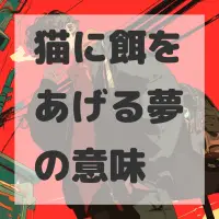 猫に餌をあげる夢のサムネイル