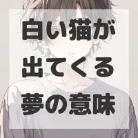 白い猫が出てくる夢のサムネイル画像