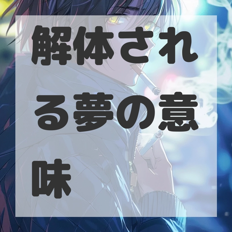 解体される夢のサムネイル画像