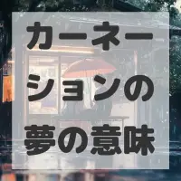 カーネーションの夢のサムネイル画像