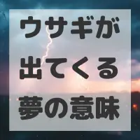 ウサギが出てくる夢のサムネイル