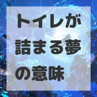 トイレが詰まる夢のサムネイル画像