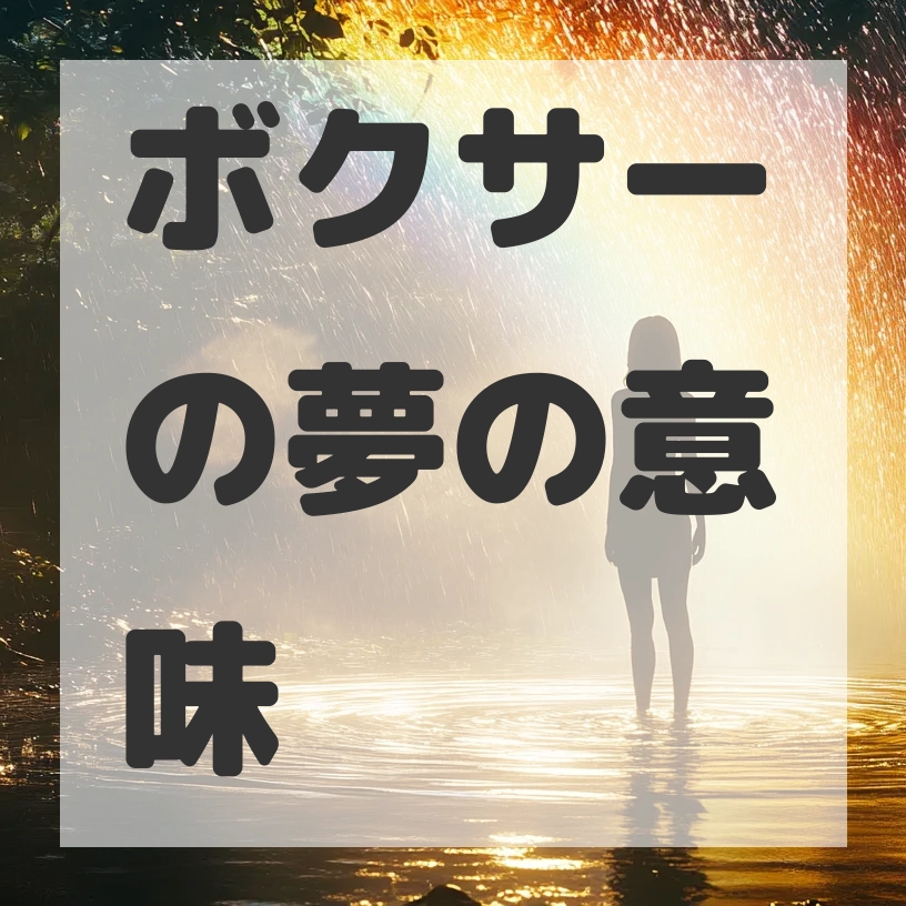 ボクサーの夢のサムネイル
