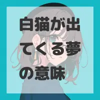 白猫が出てくる夢のサムネイル画像