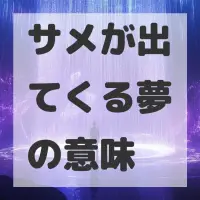 サメが出てくる夢のサムネイル画像