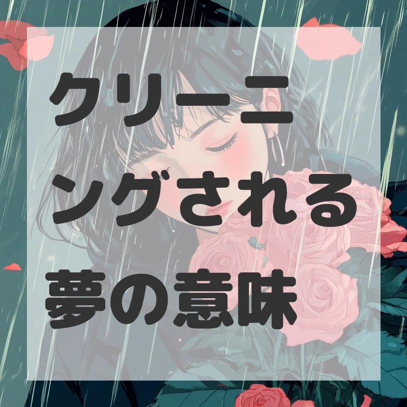 クリーニングされる夢のサムネイル画像