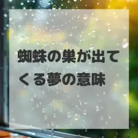 蜘蛛の巣が出てくる夢のサムネイル画像