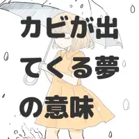 カビが出てくる夢のサムネイル