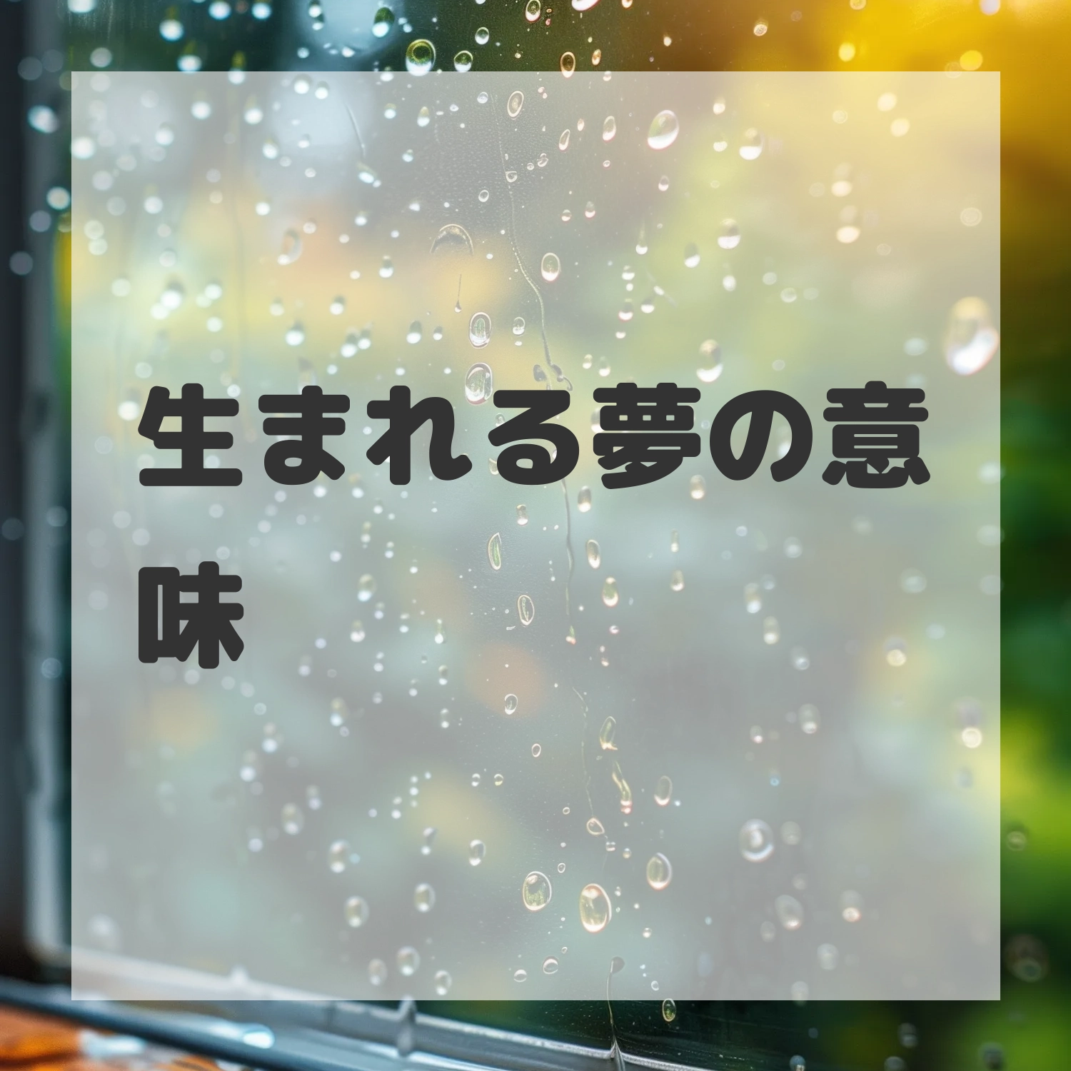 生まれる夢のサムネイル画像