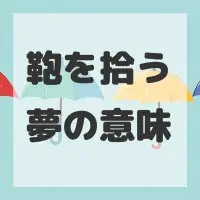 鞄を拾う夢のサムネイル画像