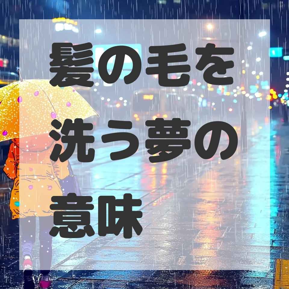 髪の毛を洗う夢のサムネイル画像