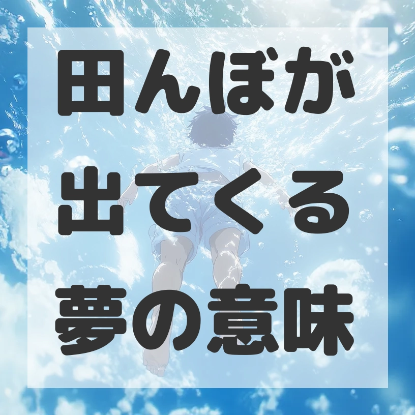 田んぼが出てくる夢のサムネイル画像