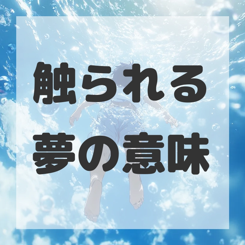 触られる夢のサムネイル画像