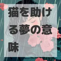 猫を助ける夢のサムネイル画像