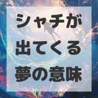 シャチが出てくる夢のサムネイル画像