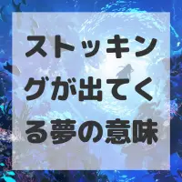 ストッキングが出てくる夢のサムネイル