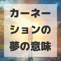 カーネーションの夢のサムネイル