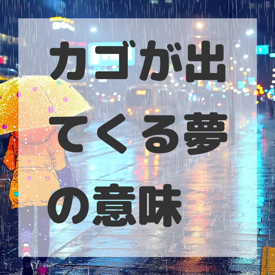 カゴが出てくる夢のサムネイル画像