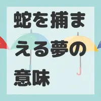 蛇を捕まえる夢のサムネイル