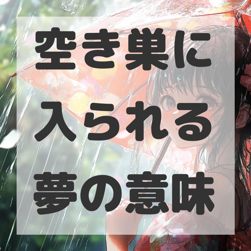空き巣に入られる夢のサムネイル画像