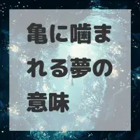 亀に噛まれる夢のサムネイル画像