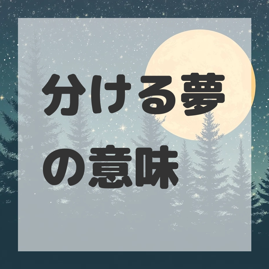 分ける夢のサムネイル画像