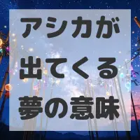 アシカが出てくる夢のサムネイル画像
