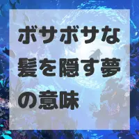 ボサボサな髪を隠す夢のサムネイル画像