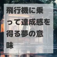 飛行機に乗って達成感を得る夢のサムネイル