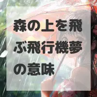 森の上を飛ぶ飛行機夢のサムネイル