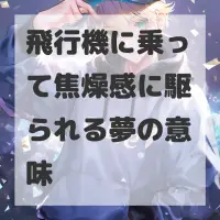飛行機に乗って焦燥感に駆られる夢のサムネイル