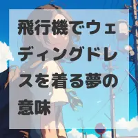 飛行機でウェディングドレスを着る夢のサムネイル