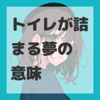 トイレが詰まる夢のサムネイル