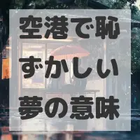 空港で恥ずかしい夢のサムネイル