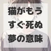 猫がもうすぐ死ぬ夢のサムネイル画像