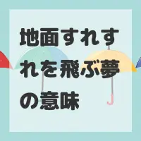 地面すれすれを飛ぶ夢のサムネイル