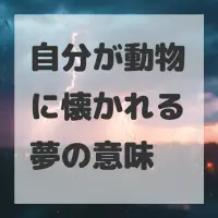 自分が動物に懐かれる夢のサムネイル