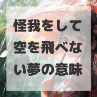 怪我をして空を飛べない夢のサムネイル