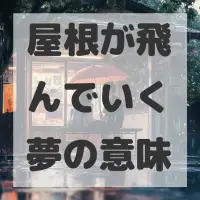 屋根が飛んでいく夢のサムネイル
