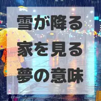 雪が降る家を見る夢のサムネイル