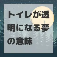 トイレが透明になる夢のサムネイル