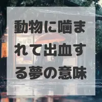 動物に噛まれて出血する夢のサムネイル